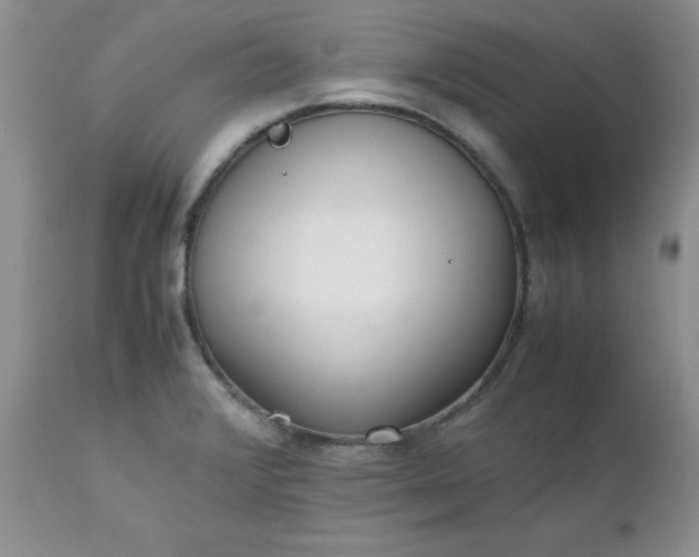 X0000112531376200908311412