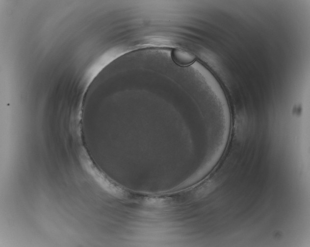 X0000112531378200908311412