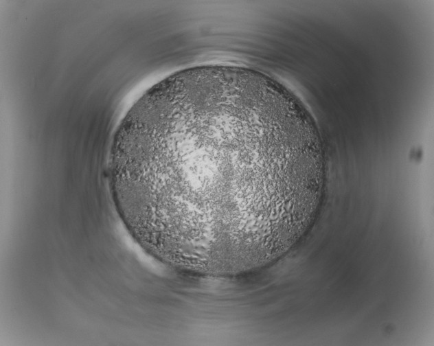 X0000112531379200908311412