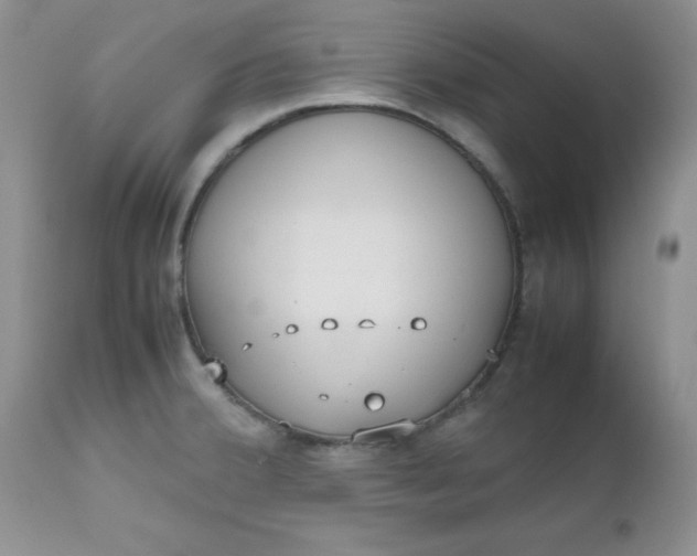 X0000112531380200908311412