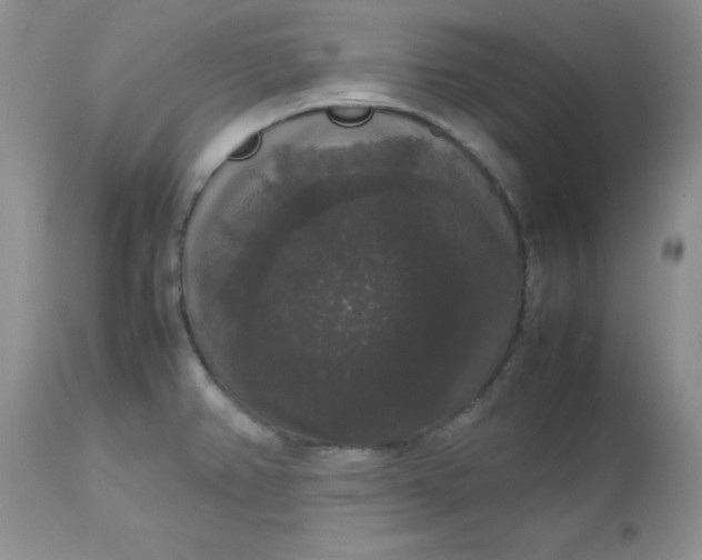 X0000112531382200908311412
