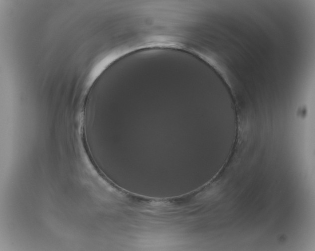X0000112531383200908311412