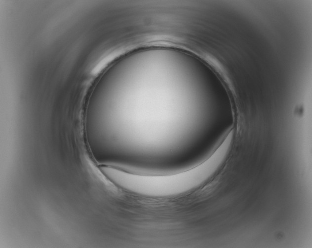 X0000112531384200908311412