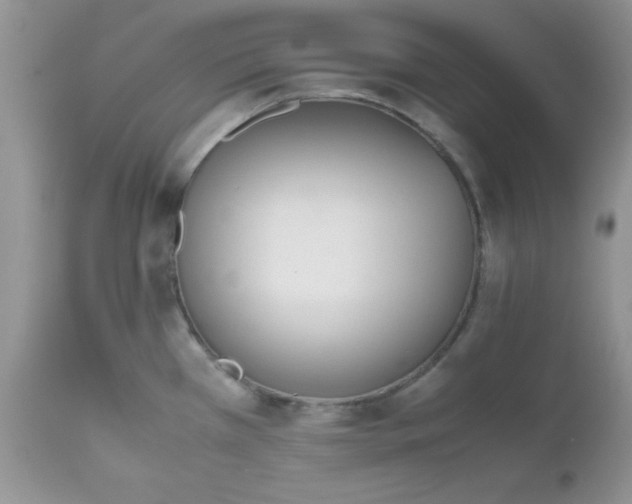 X0000112531385200908311412