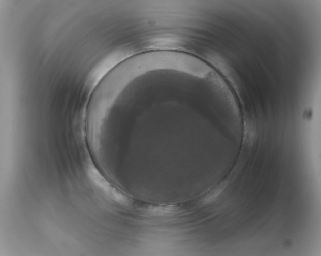 X0000112531386200908311412