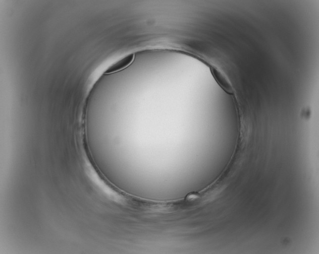 X0000112531387200908311412