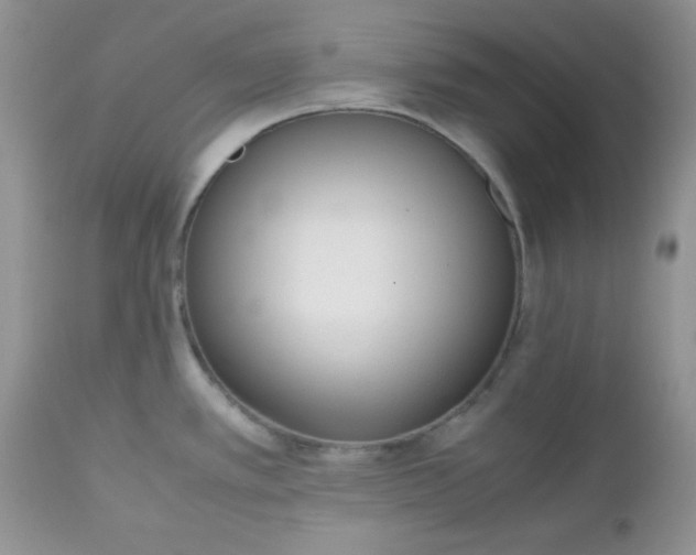X0000112531389200908311412