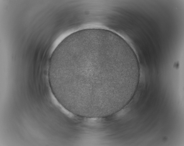 X0000112531390200908311412