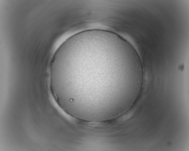 X0000112531391200908311412