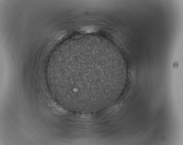 X0000112531393200908311411