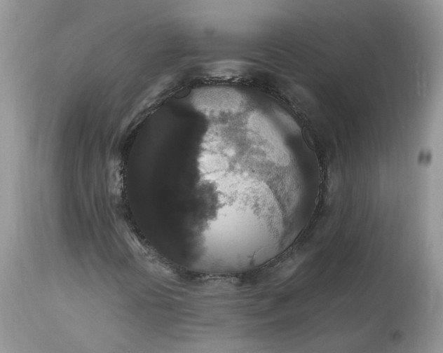X0000112531394200908311411