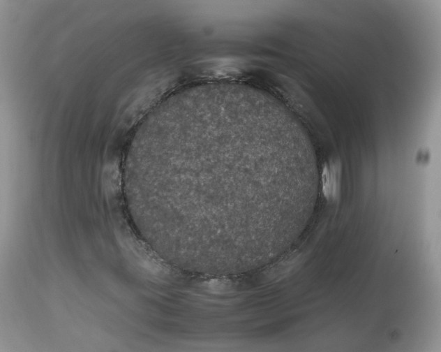 X0000112531395200908311411