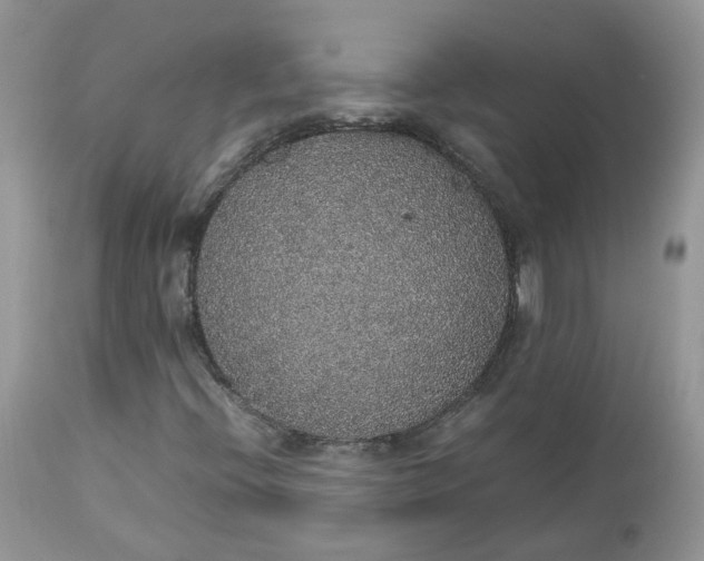 X0000112531396200908311411