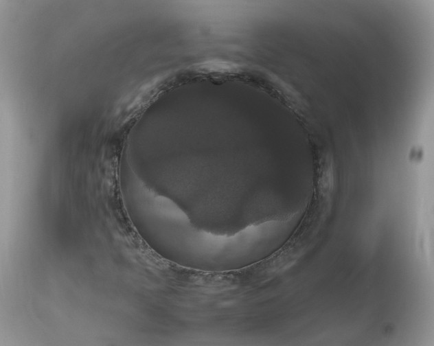 X0000112531397200908311411
