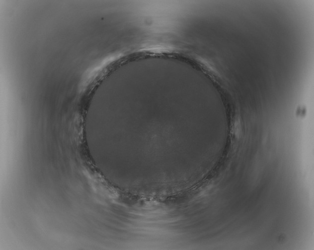 X0000112531398200908311411
