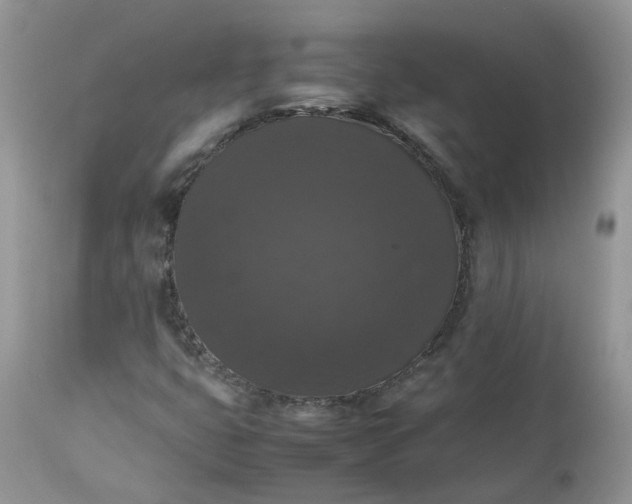 X0000112531399200908311411