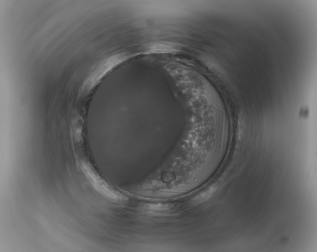 X0000112531401200908311411
