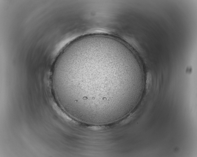 X0000112531404200908311411