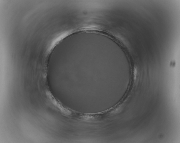 X0000112531405200908311411