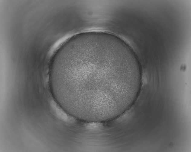 X0000112531406200908311411