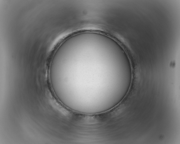 X0000112531408200908311411