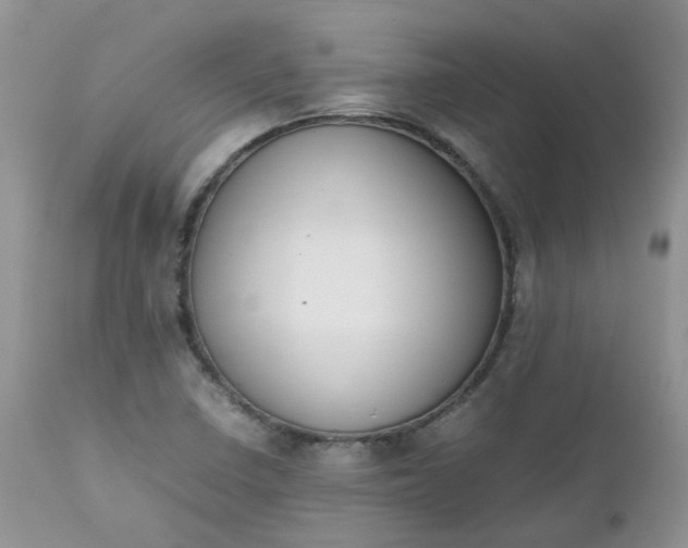 X0000112531410200908311411
