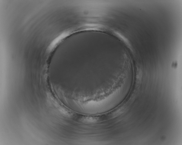 X0000112531411200908311411