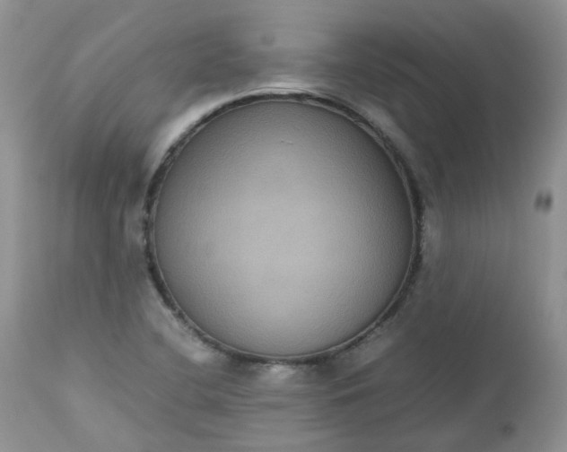 X0000112531412200908311411