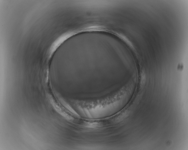 X0000112531413200908311411