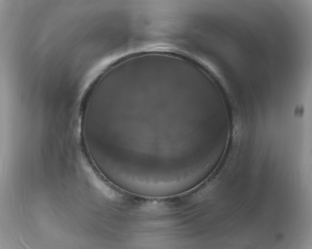 X0000112531414200908311411