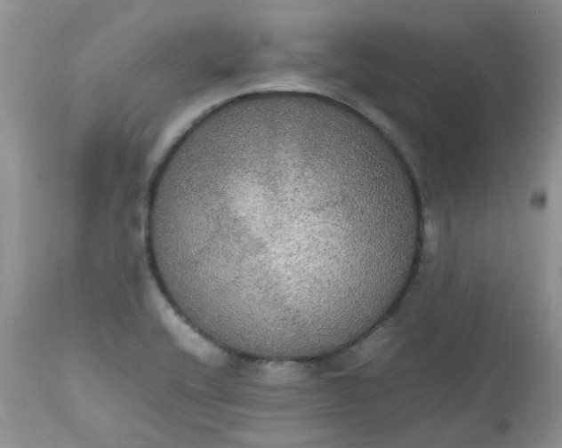 X0000112531416200908311411