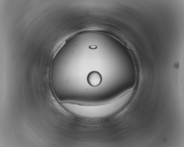 X0000112531417200908311411
