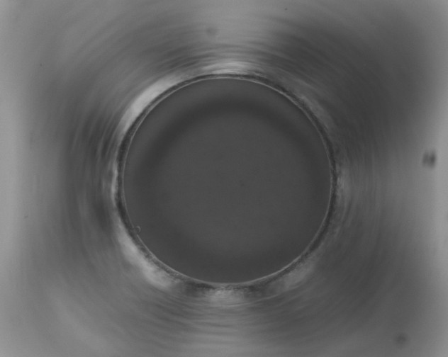 X0000112531418200908311411