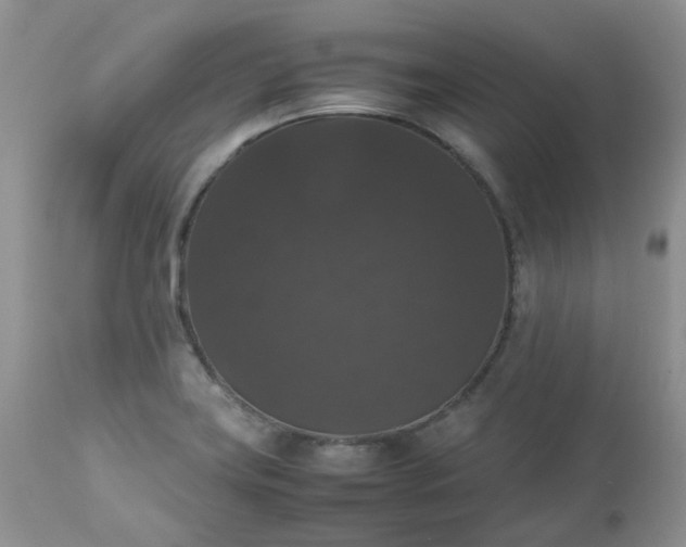 X0000112531419200908311411
