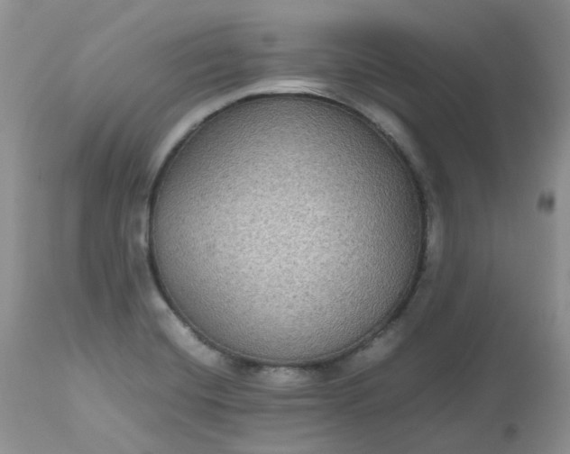 X0000112531420200908311411