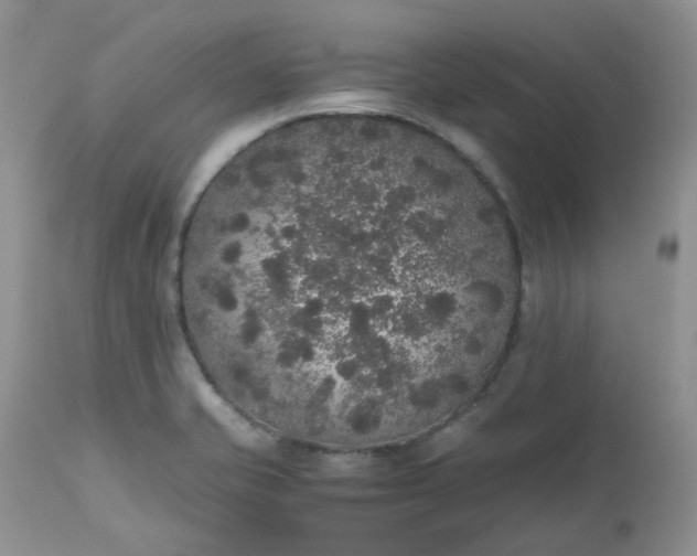 X0000112531421200908311411