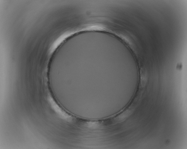 X0000112531422200908311411