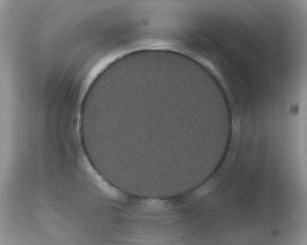X0000112531424200908311412