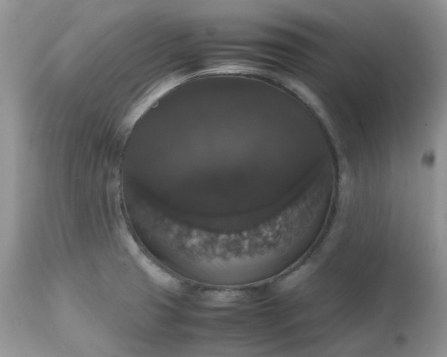 X0000112531425200908311412