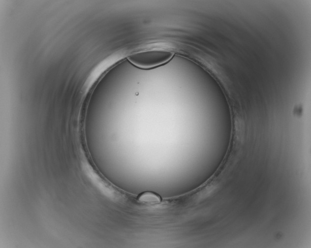 X0000112531426200908311412