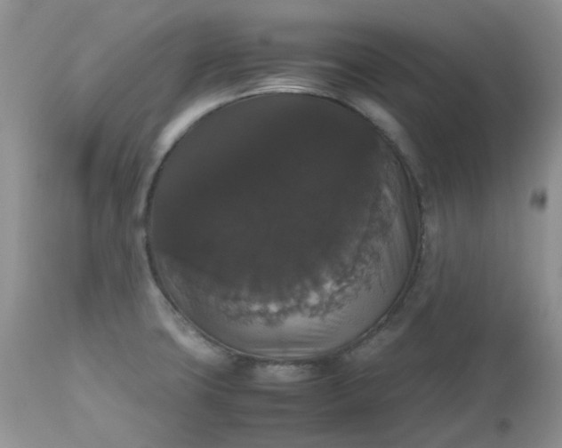 X0000112531427200908311412