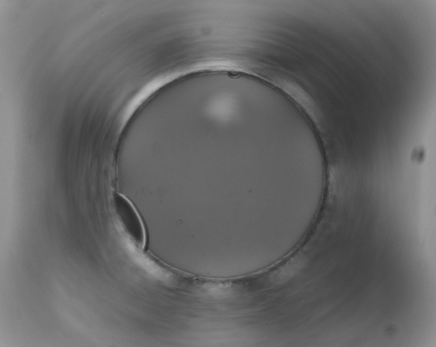 X0000112531428200908311412
