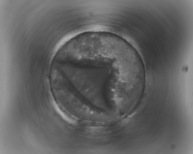 X0000112531429200908311412