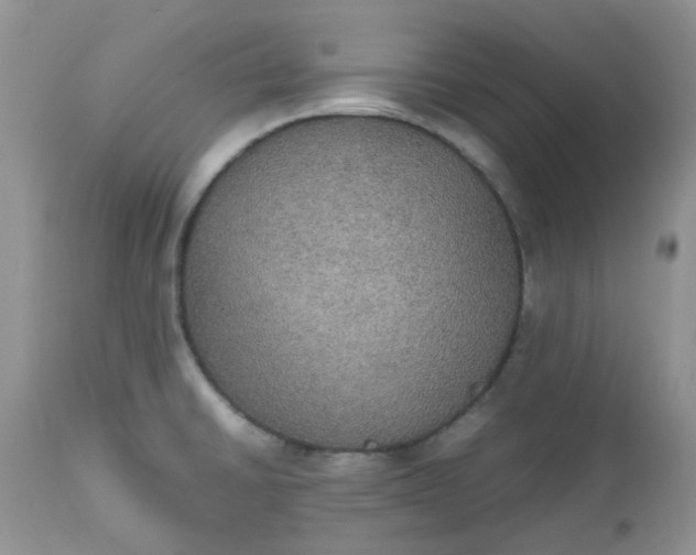 X0000112531430200908311412