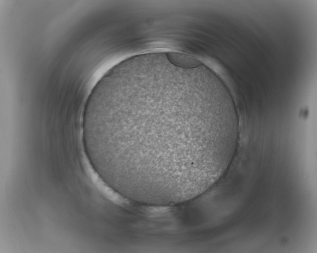 X0000112531431200908311412