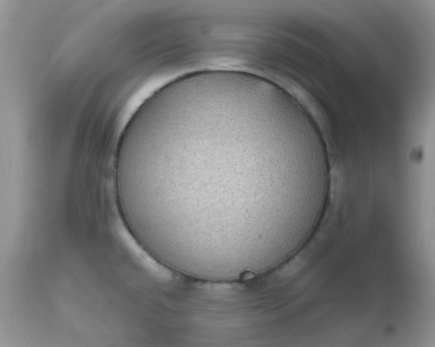 X0000112531432200908311412