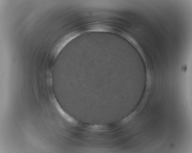 X0000112531433200908311412