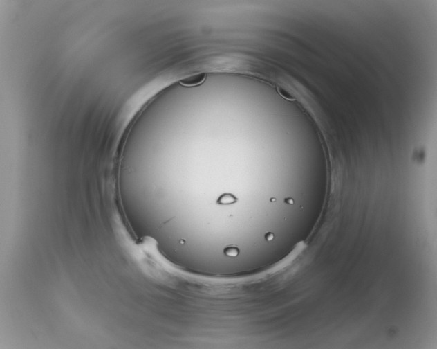X0000112531434200908311412