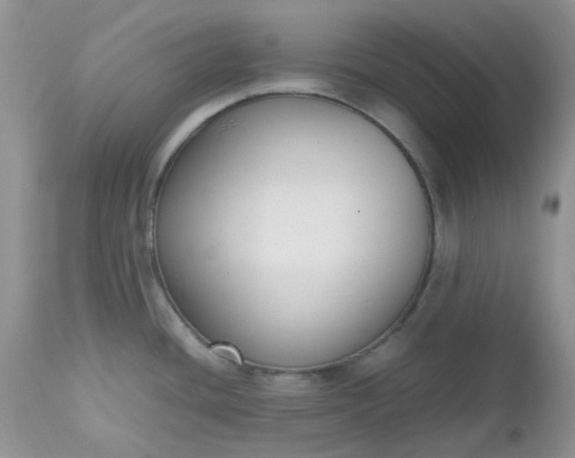 X0000112531436200908311412