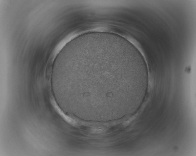 X0000112531437200908311412